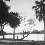 Hồ Gươm, tháng 7 năm 1948